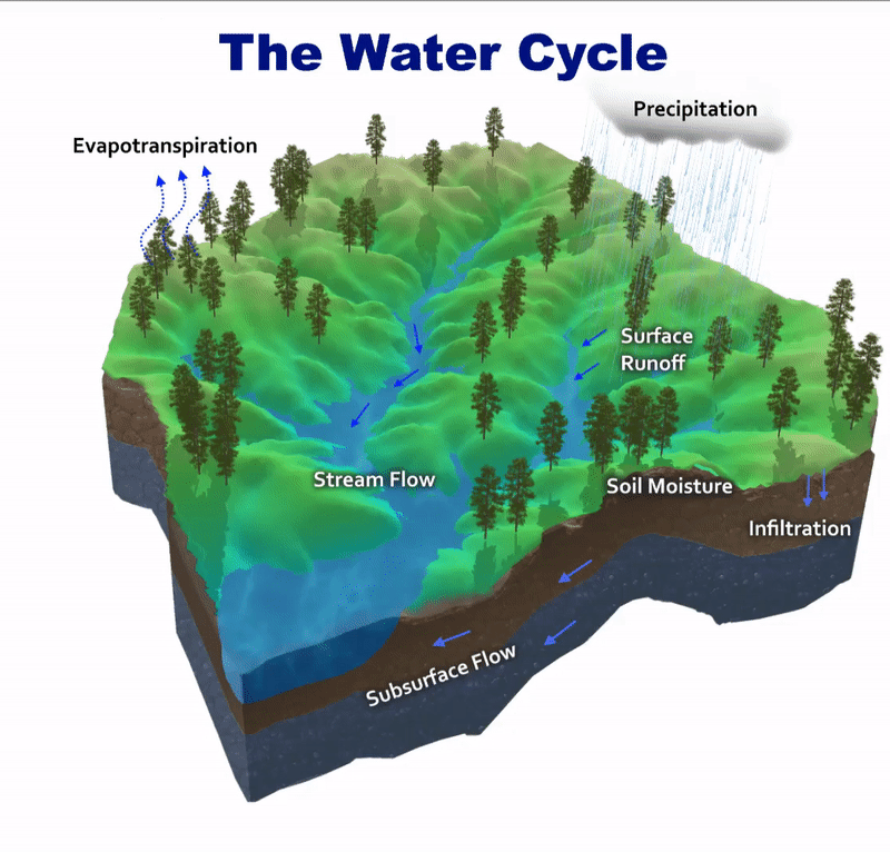Hydrological Water Cycle